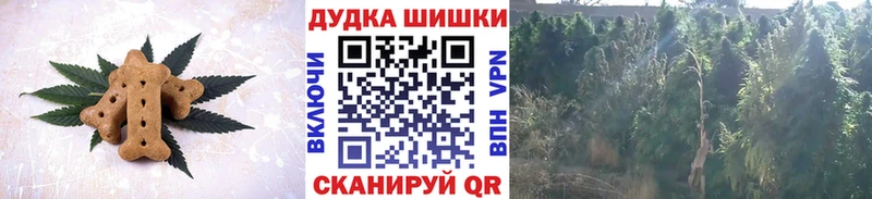 купить наркоту  Чудово  Canna-Cookies марихуана 