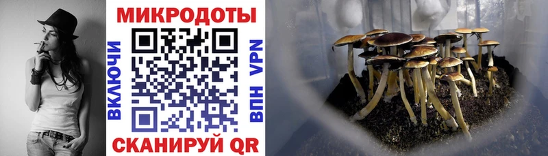 где купить наркоту Чудово Галлюциногенные грибы мицелий