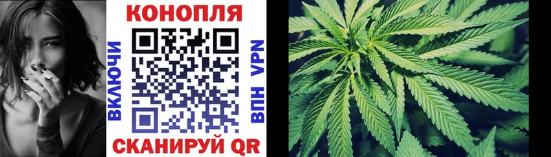 МАРИХУАНА SATIVA & INDICA  продажа наркотиков  Чудово 